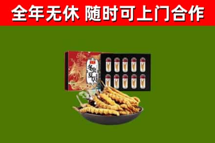马村回收冬虫夏草价格